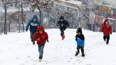 Bazı illerde eğitime kar tatili devam ediyor