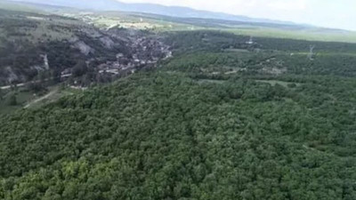 Yargı yandaş Limak’a ‘dur’ dedi, binlerce ağaç kesilmekten kurtuldu