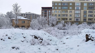 Van'da 325 yerleşim yerinin yolu kapandı