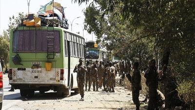 Etiyopya'nın Tigray savaşı: Hükümet, insani ateşkes ilan etti