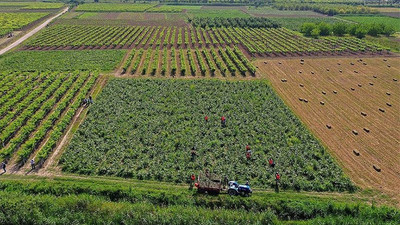 'Verilen destekle iki çuval gübre, iki depo mazot alamıyoruz'