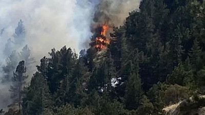 Colorado'da orman yangını nedeniyle 19 bin kişi tahliye edildi