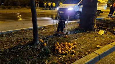 Adana'da turunç toplayan kadınlara otomobiller çarptı: 3 kişi hayatını kaybetti