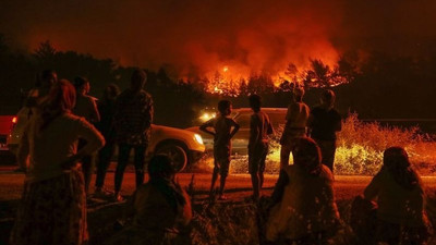 Ormanda büyük vurgun iddiası: 'Değerinin altında bedelle yandaşlara pay edildi'