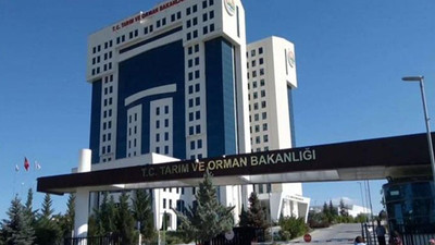 Tarım ve Orman Bakanlığı'nda 4 bakan yardımcısı görevden alındı