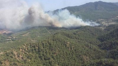 Yanan ormanlık alanda Orman Müdürü’nün de dahil olduğu milyonlarca liralık vurgun yapılmış