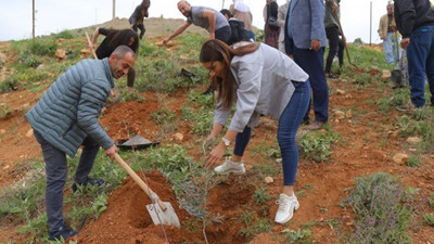 Mardin ve Adana'da Öcalan'ın 73'üncü yaş günü dolayısıyla fidanlar dikildi