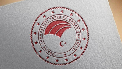 '2021- 2022 balıkçılık av sezonu yasağı' yarın başlıyor
