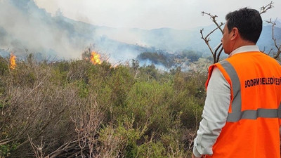 Bodrum Belediye Başkanı Aras'tan yangın açıklaması: Bir sabotajın sonucu gibi görünüyor