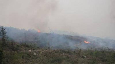 Hatay'daki orman yangını kontrol altına alındı: 2 gözaltı