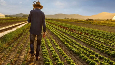 Çiftçi sayısı son zamanların en düşük seviyesine geriledi