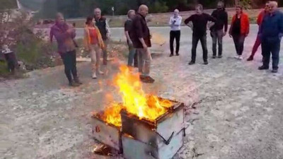 Yandaş şirketin inşaatının olduğu bölgede arıları ölen yurttaşlar kovanlarını yaktı: Vahşet