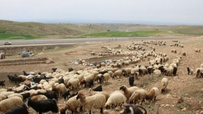 Korucubaşından koçer ve çobanlara para karşılığı ajanlık dayatması