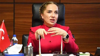 İddia: Vali Kocabıyık, Soylu'ya 'İstifa etmiyorum, siz görevden alın' dedi