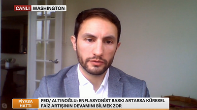 Fed ekonomistinden Türkiye'ye rezerv uyarısı