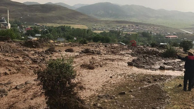 Siirt'te sel nedeniyle 30 hayvan yaşamını yitirdi