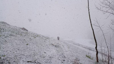 Hakkari'de pancar toplamaya giden kadınlar tipiye yakalandı