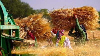 Hindistan buğday ihracatını yasakladı