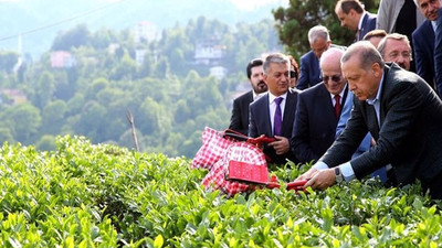 Yaş çay alım fiyatlarındaki artış üreticiden önce raflara yansıdı: Dar gelirli vatandaş çaydan da koptu