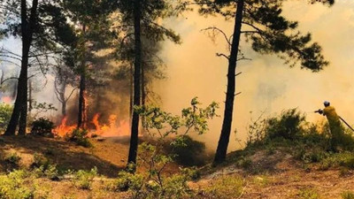 Hatay’daki orman yangınıyla ilgili 1 kişi tutuklandı