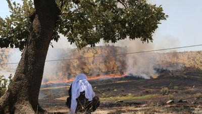 Ekoloji Meclisi: Türkiye'nin her kentine eşit duyarlılık ve ortak mücadele çağrısı