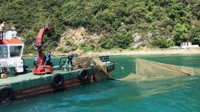 İstanbul Boğazı'ndaki kaçak dalyanlar kaldırıldı; on binlerce balık kurtarıldı
