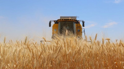 Hükümetin açıkladığı buğday alım fiyatlarına tepki: Çiftçiye darbe vuruldu