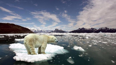 Dünya Meteoroloji Örgütü: Dört temel iklim değişikliği göstergesi 2021'de rekor kırdı