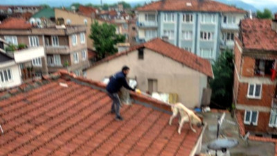 Çatısına çıkan 2 köpeği öldürmüştü: 8 yıl hapsi isteniyor