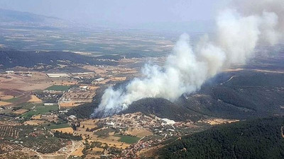 Foça’da makilik alanda yangın