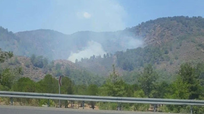 Marmaris'ten sonra Köyceğiz'de de orman yangını