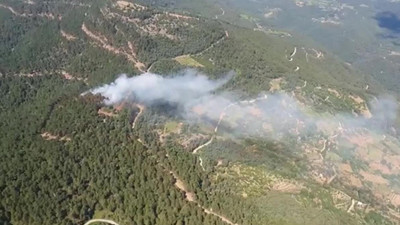 İzmir Kemalpaşa'da çıkan orman yangını kontrol altına alındı