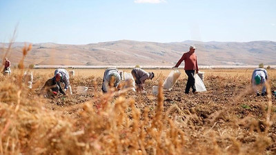 Bakanlık açıkladı: Hacizli taşınmaz sayısı yüzde 168 arttı