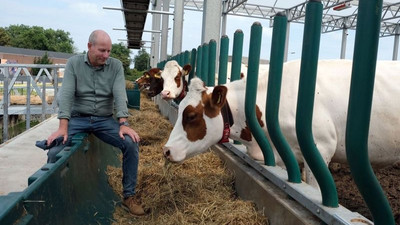 Hollanda'daki çiftlik hayvanlarının etinde, sütünde ve kanında plastik parçacıkları bulundu