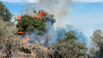 Muğla Valiliği'nden orman yangını riski uyarısı