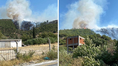 Aydın'da orman yangını