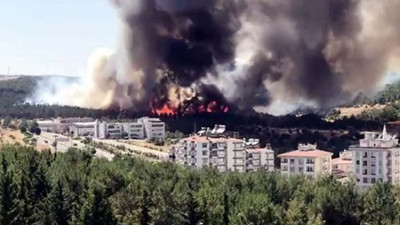 Antep’te orman yangını