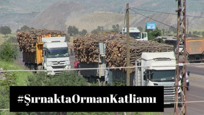 Şırnak Barosu’ndan kampanya: #ŞırnaktaOrmanKatliamı var