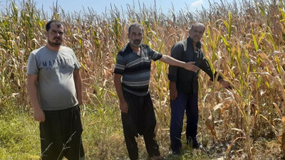 Osmaniyeli çiftçiler: 'Ekin' dediler ektik ancak sulayamıyoruz