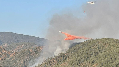 Marmaris'te çıkan orman yangını kontrol altına alındı