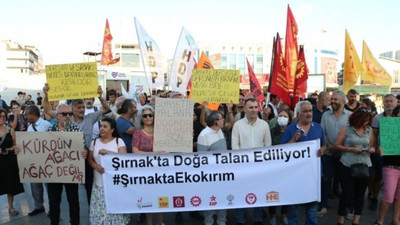 Dersim ve Şırnak’taki ağaç kesimlerine tepki: Ağaçlar rant kapısına dönüştürülüyor