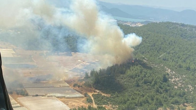 Hatay, İzmir ve Mersin'de orman yangınları