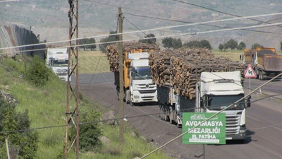 TARIM ORKAM-SEN: Ağaç kesimine sesiz kalan suç ortağıdır