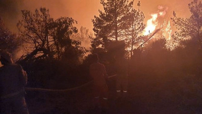 Manisa'da orman yangını