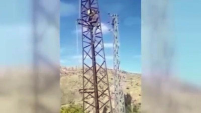 Telefonla konuşmak için elektrik direğine çıkıyorlar