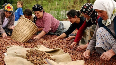 Fındık üreticilerinden eylem çağrısı: Bu soyguna sessiz kalmayacağız