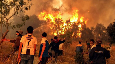 Cezayir’de orman yangınları: 26 ölü