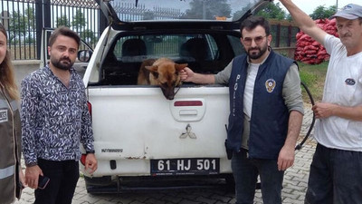 Gençlere biber gazı sıkan bekçiyi ısıran köpek 2 gün gözaltında tutuldu