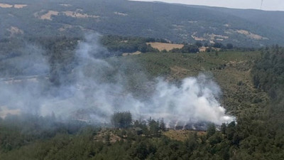 Bursa'da orman yangını