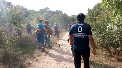 Üsküdar Belediyesi yine Validebağ Korusu'nda: Bu kez gerekçe ot biçme